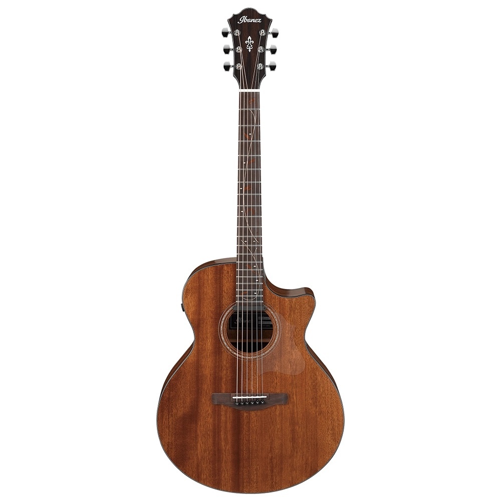 Ibanez ae acoustic sale guitar